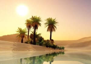 oasis