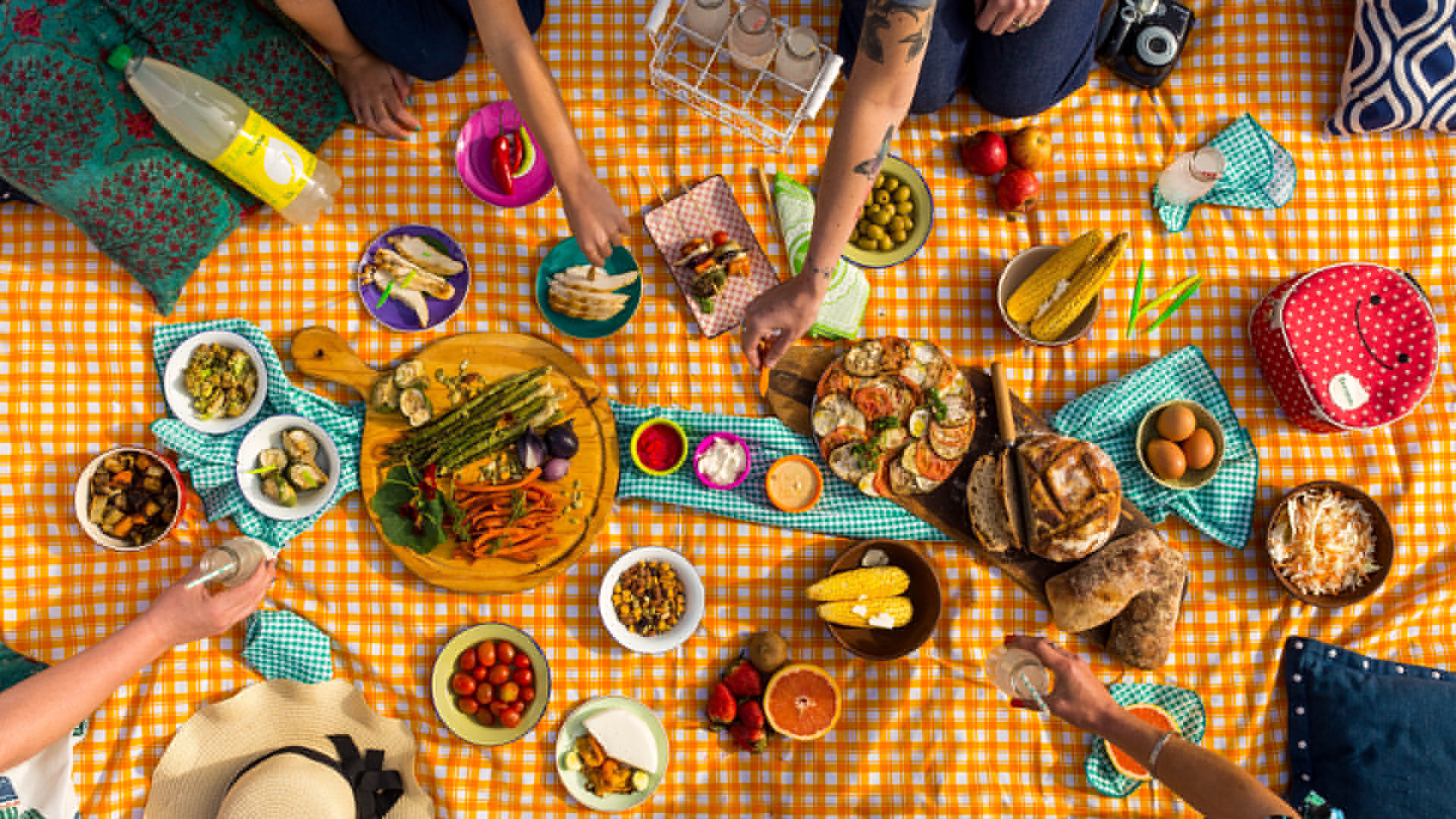 picnic en familia