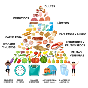 piramide de alimentos
